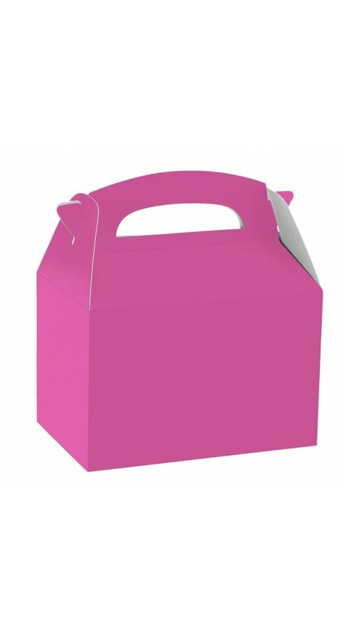 Bright Pink Party Boxes - 20cm x 15cm x 9.5cm