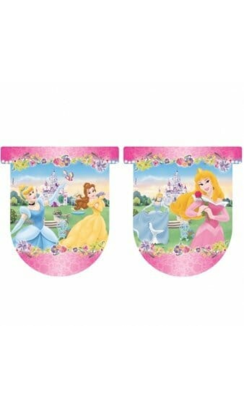 Disney Sleeping Beauty Plastic Flag Banner - 3m