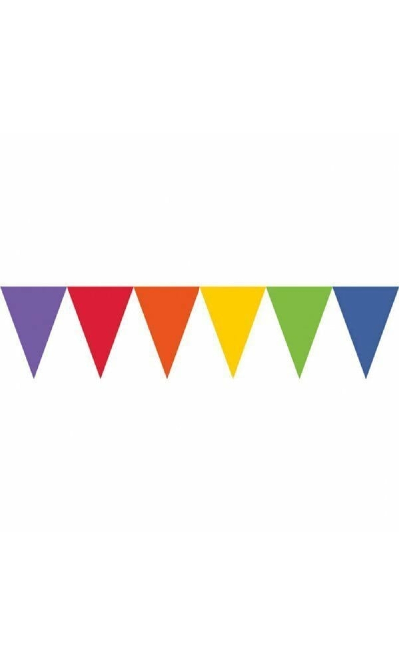 Multicolor Pennant / Bunting Banner 450cm - 1pk
