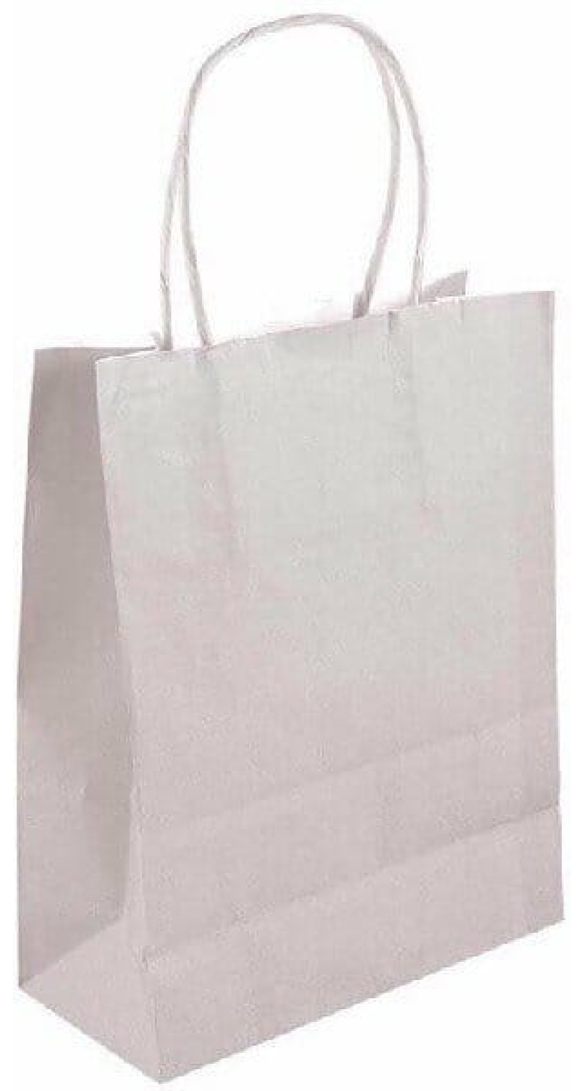 Party Paper Bag With Handles Silver - 21x14x7cm
