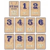 Stag Night - 10 Rating Cards