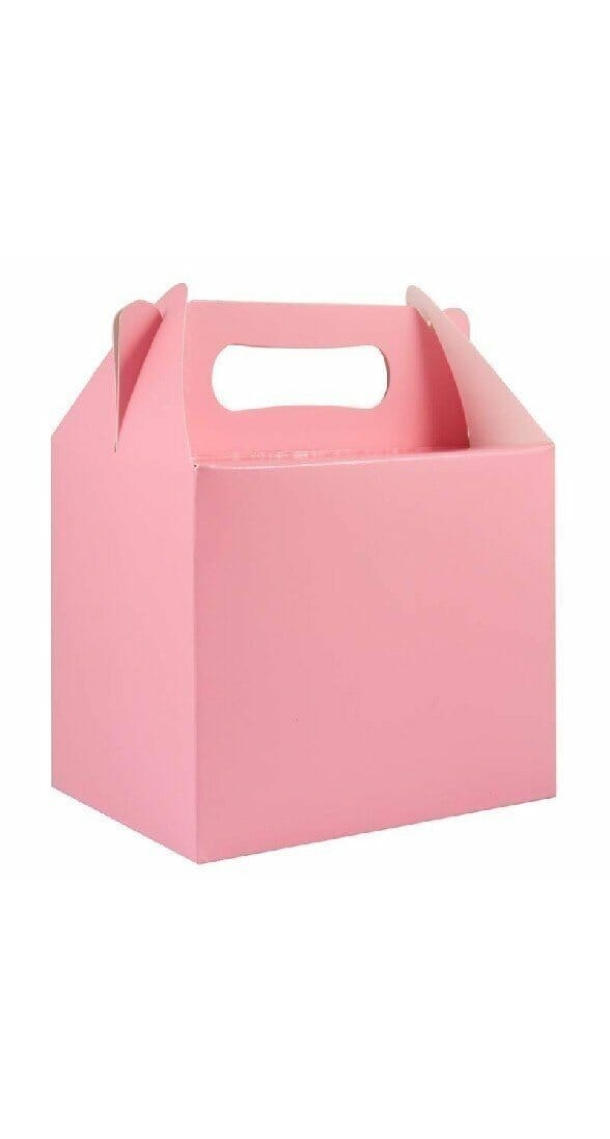 Party Favour /  Lunch Box - Baby Pink