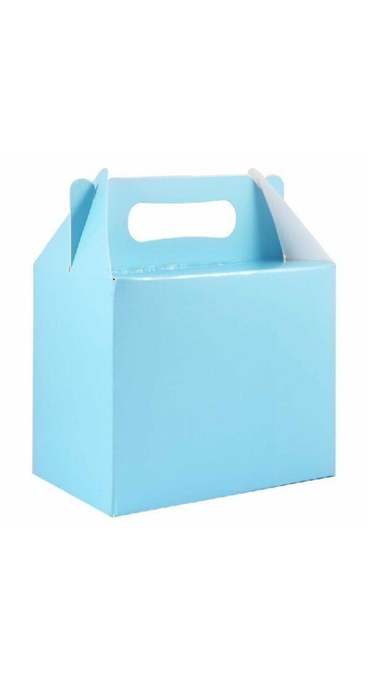 Party Favour /  Lunch Box - Baby Blue