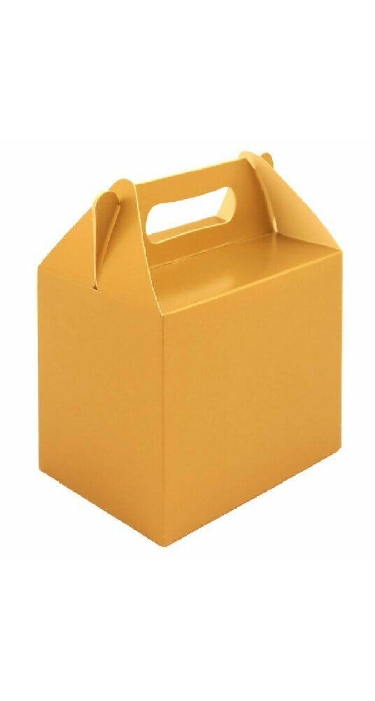 Party Favour /  Lunch Box - Gold