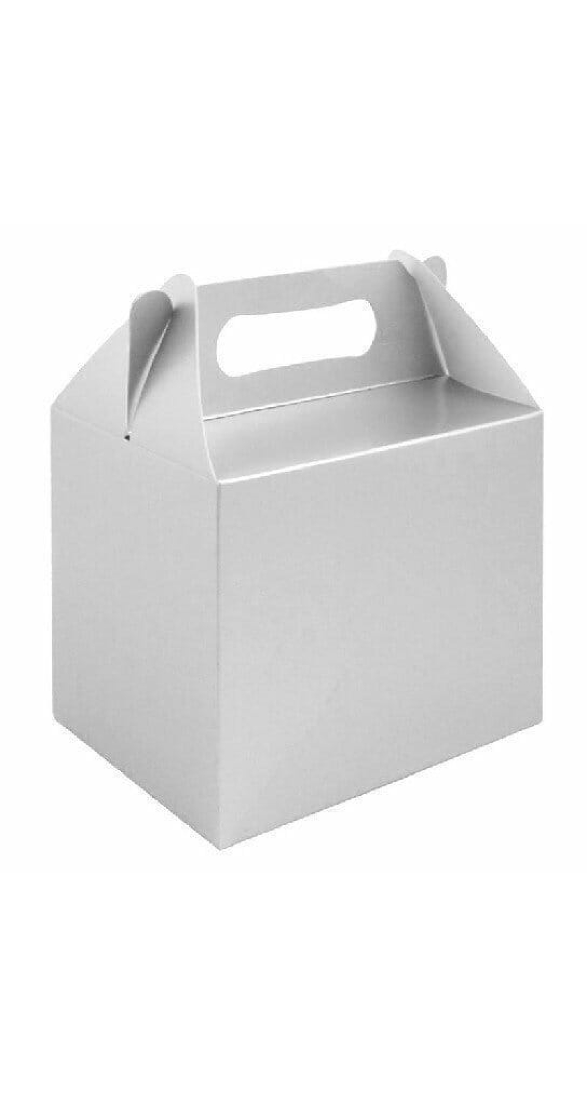 Party Favour /  Lunch Box - Silver
