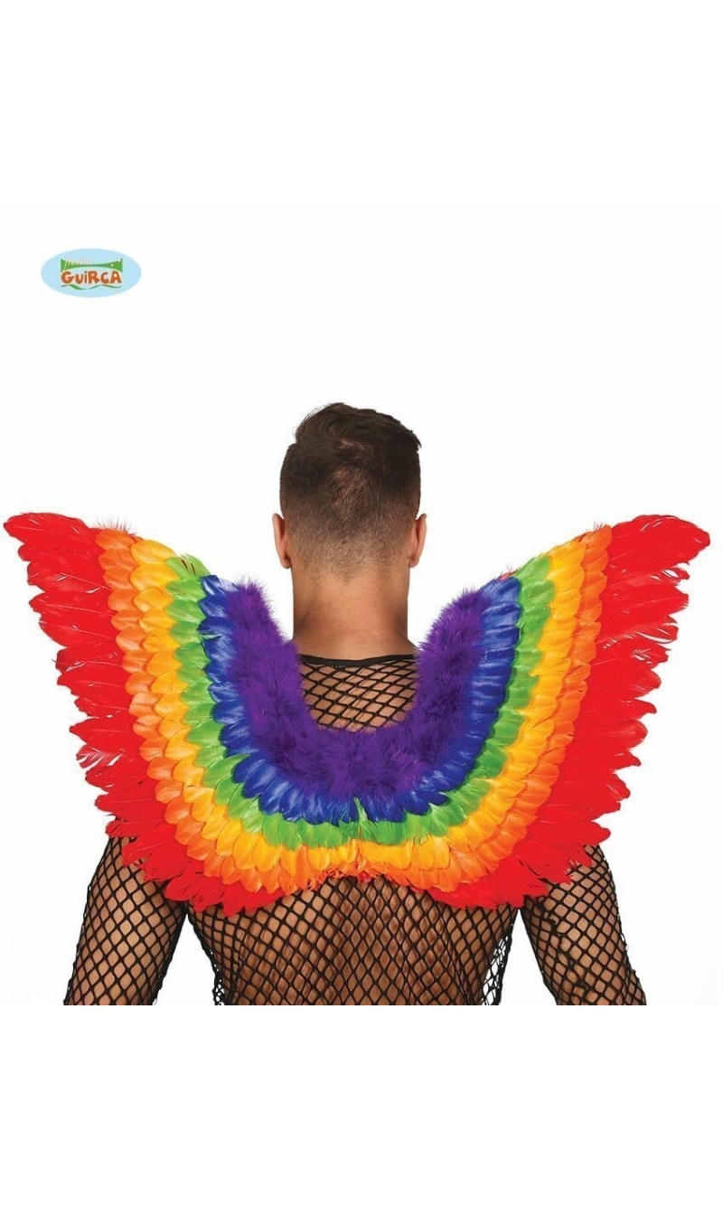 Multicolored Rainbow Feather Wings 80 X 50 Cm