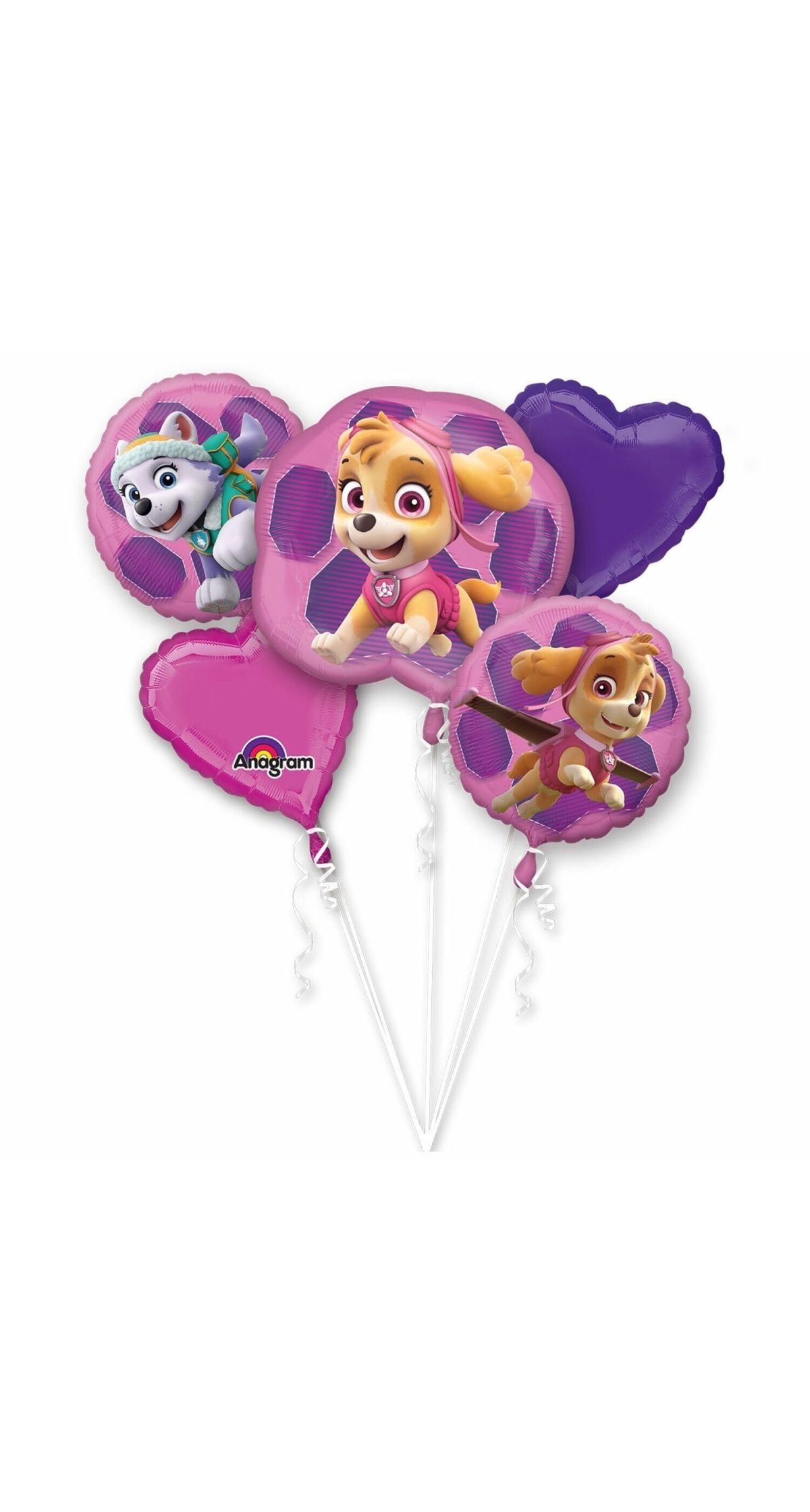 Paw Patrol Skye & Everest Foil Balloon Bouquet - 5pk