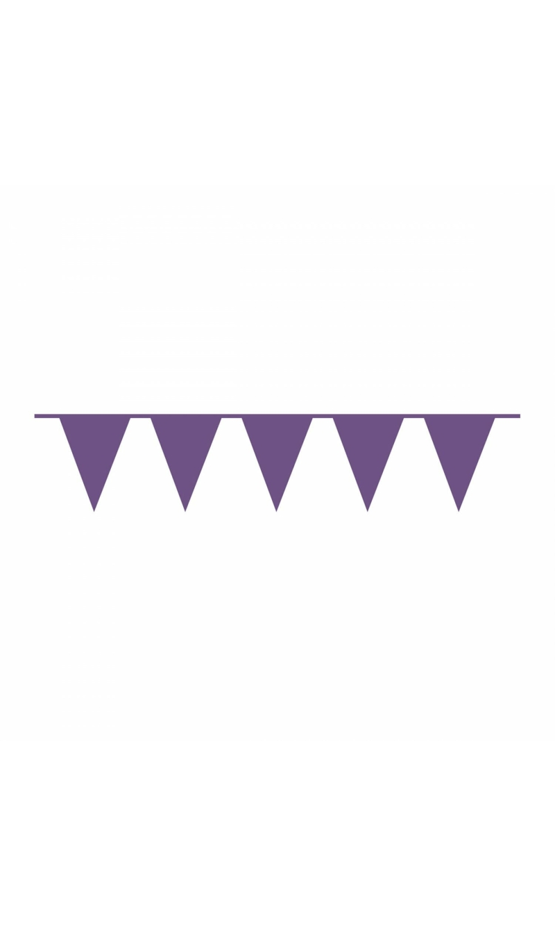 Pennant Flag Banner Plastic New Purple - 10m x 32cm