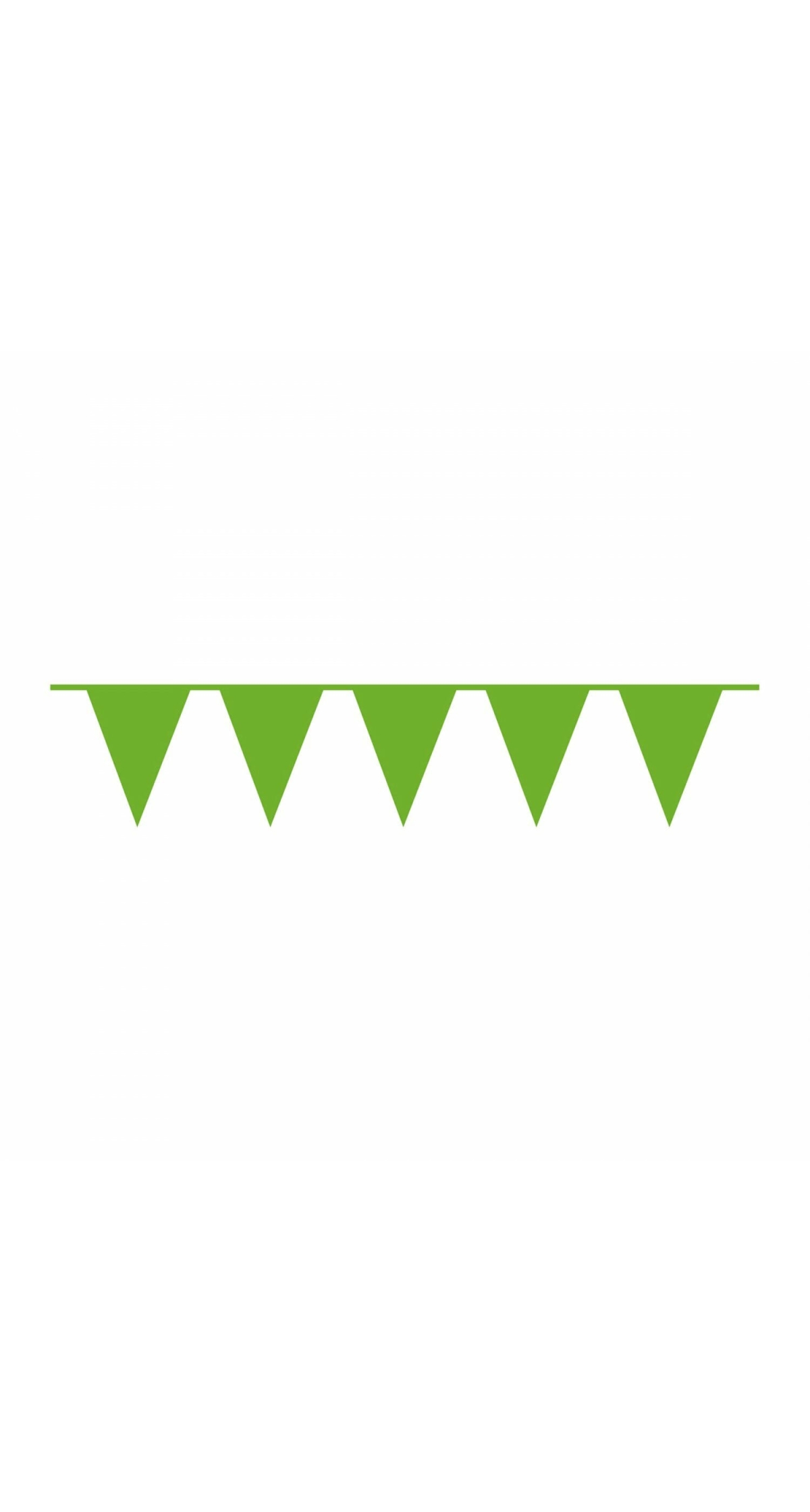 Pennant Flag Banner Plastic Kiwi Green - 10m x 32cm
