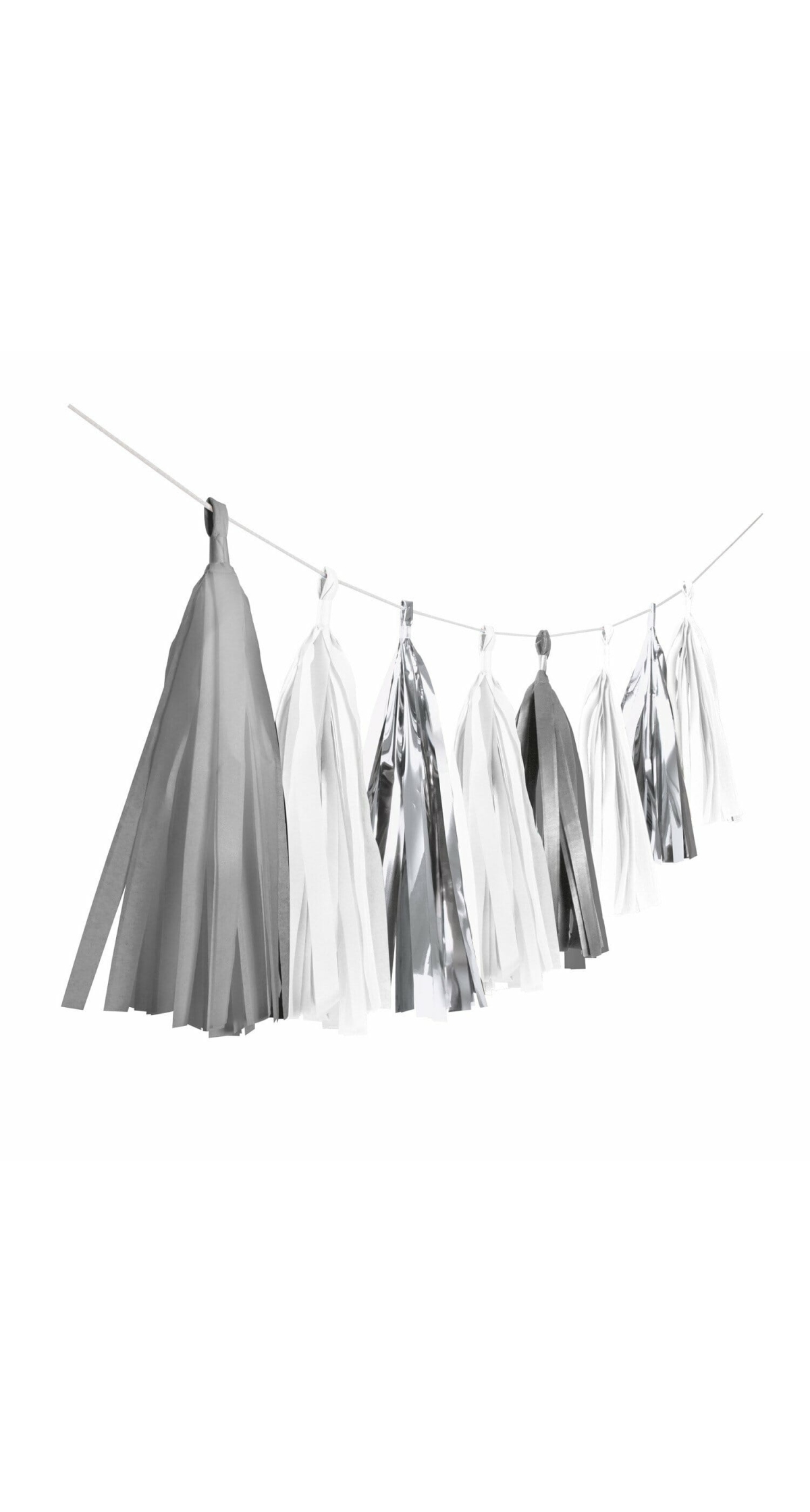 Garland Tassel Silver Dream - 304 cm
