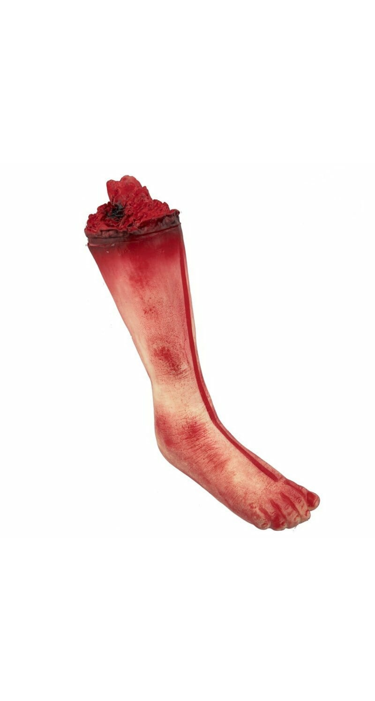 Amputated Leg - 39cm x10cm