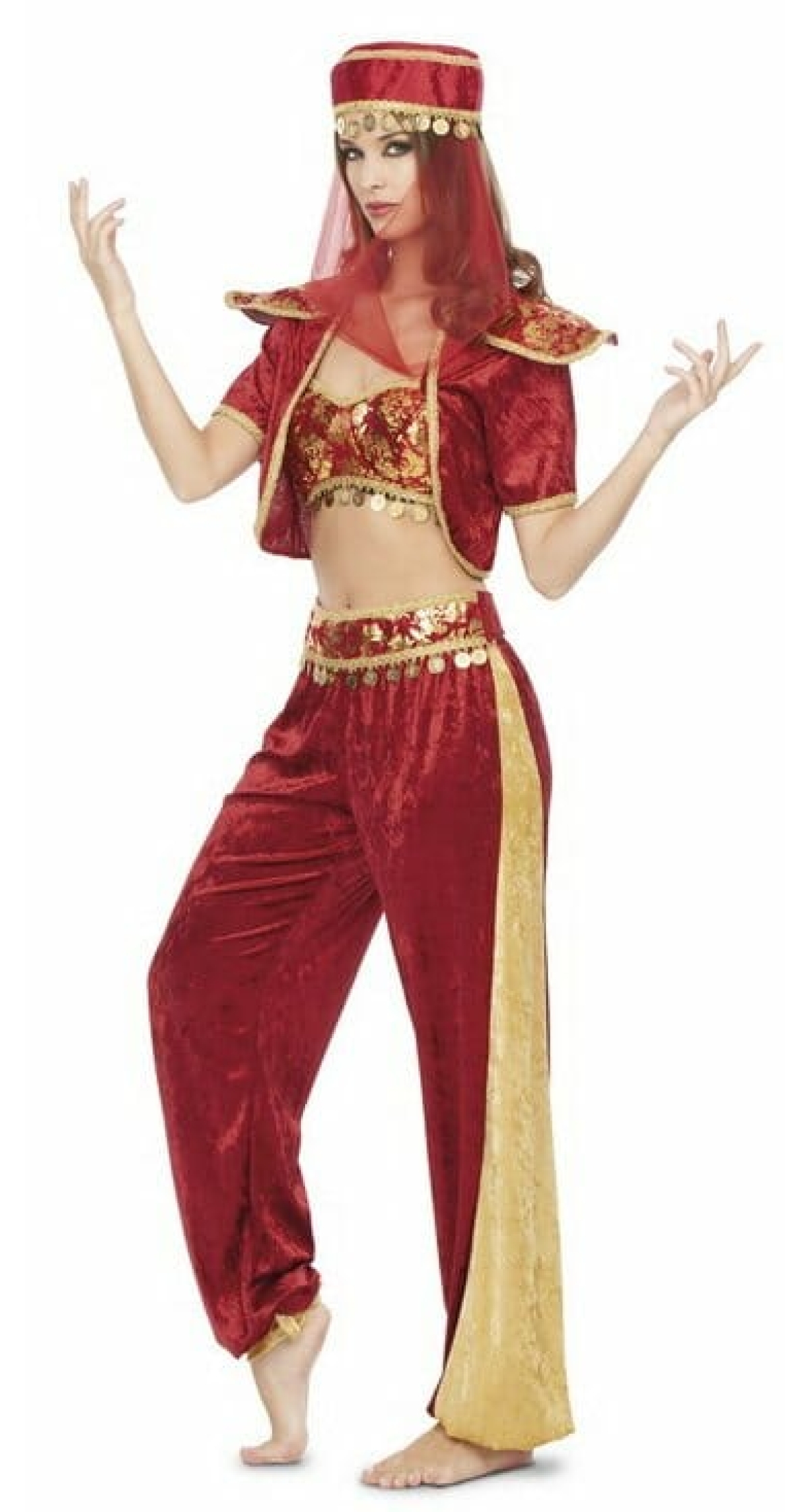 Belly Dancer / Odalisca - Adult Size M/L