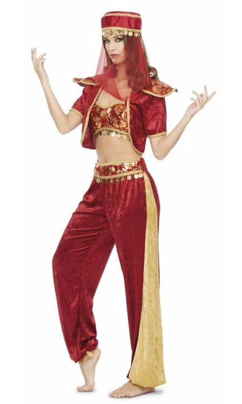 Belly Dancer / Odalisca - Adult Size M/L