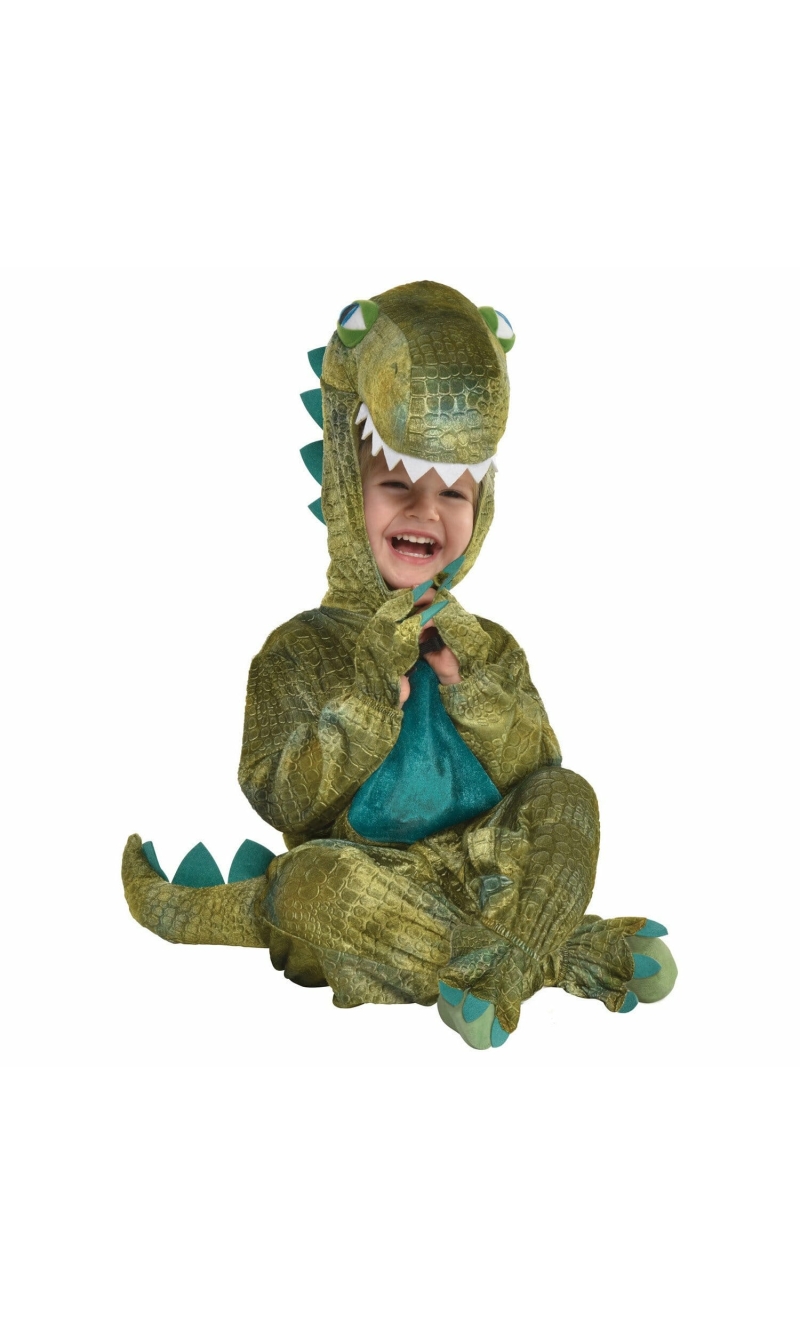 Baby Roar Dinosaur - Age 6 to 12 Months