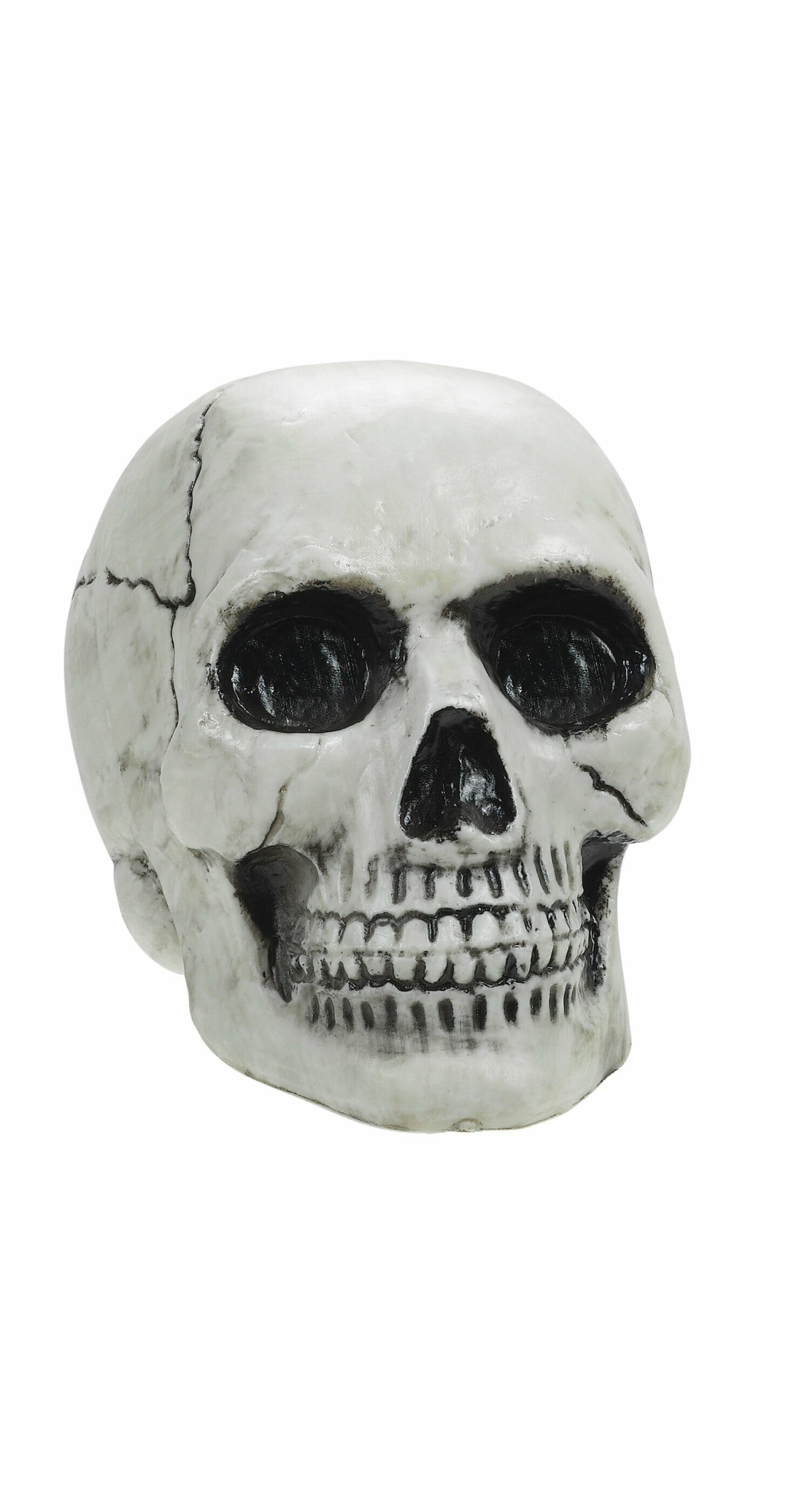 Skull Plastic (10.4 x 7.6 x 12.7cm)