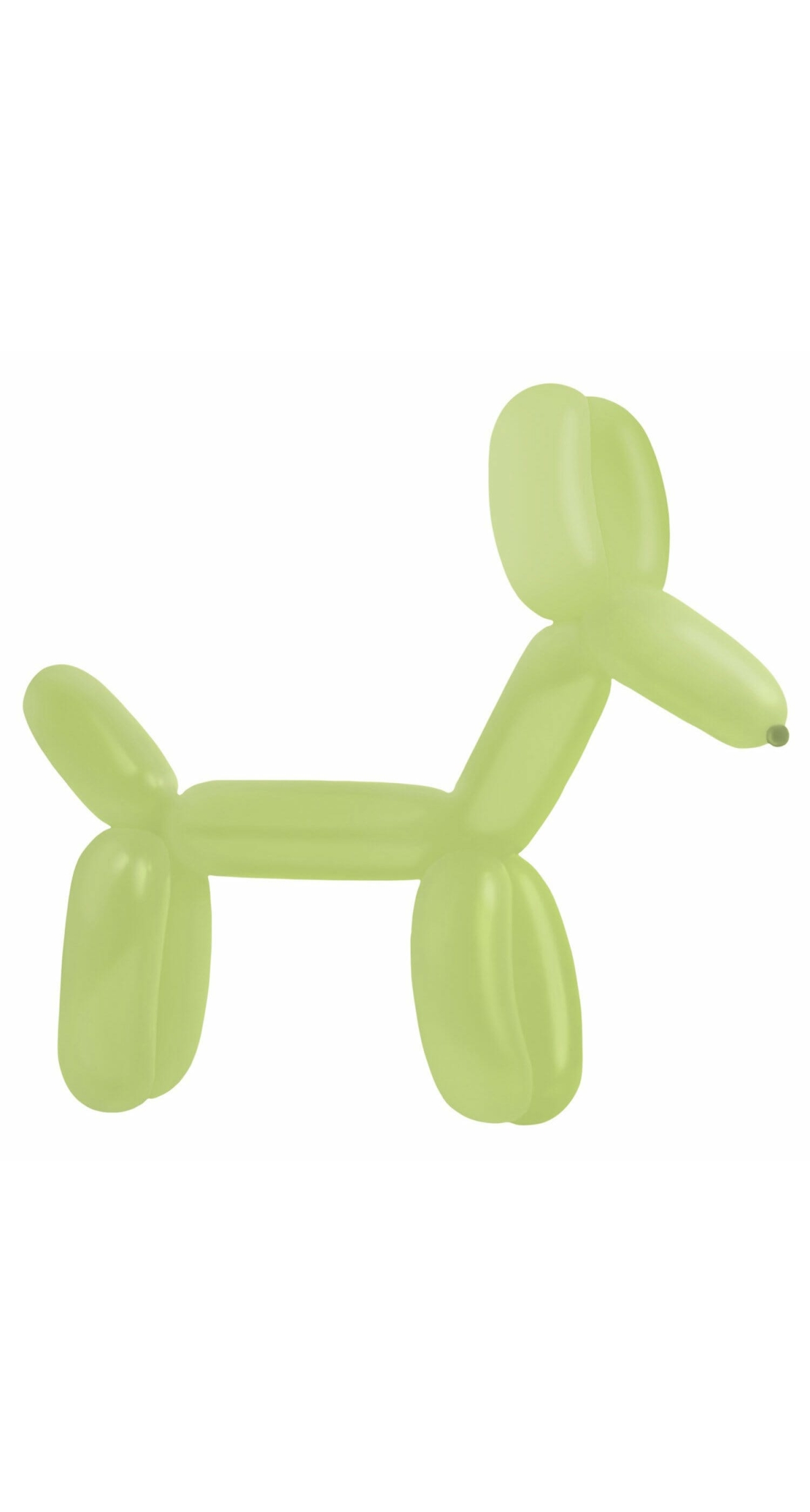 Everts Balloon Modelling Kiwi Fashion E260 - 100pk