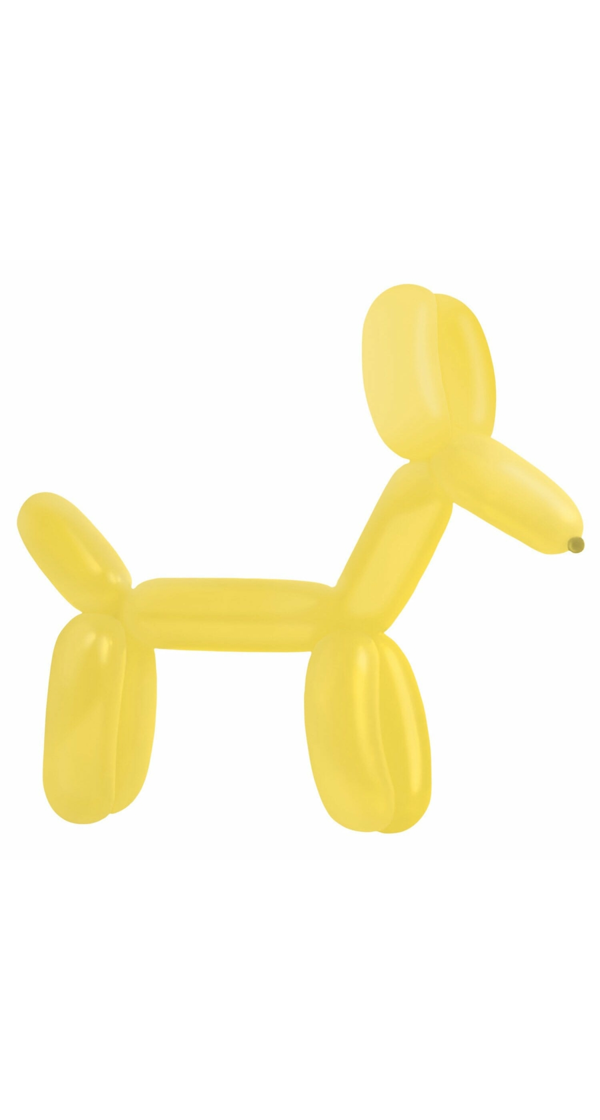 Everts Balloon Modelling Goldenrod Fashion E260 - 100pk