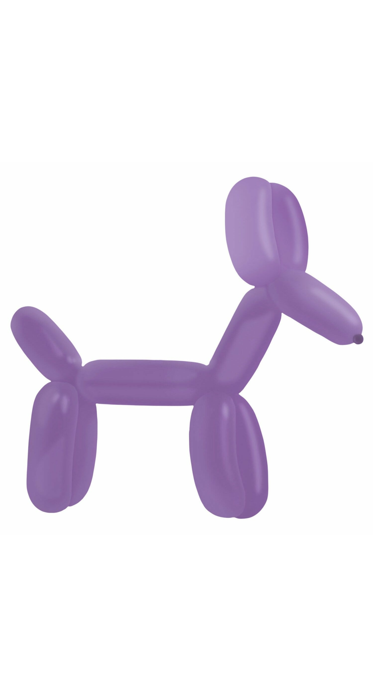 Everts Balloon Modelling New Purple Standard E260 - 100pk