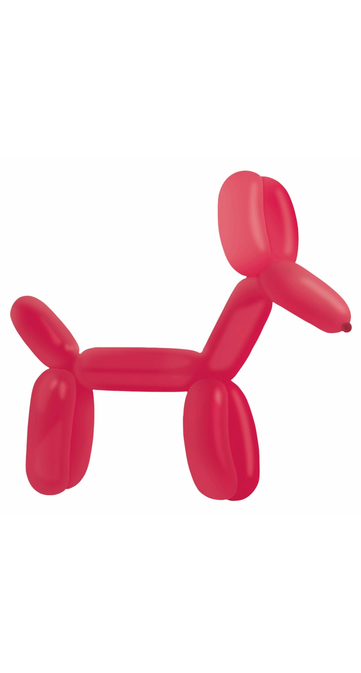 Everts Balloon Modelling Berry Fashion E260 - 100pk