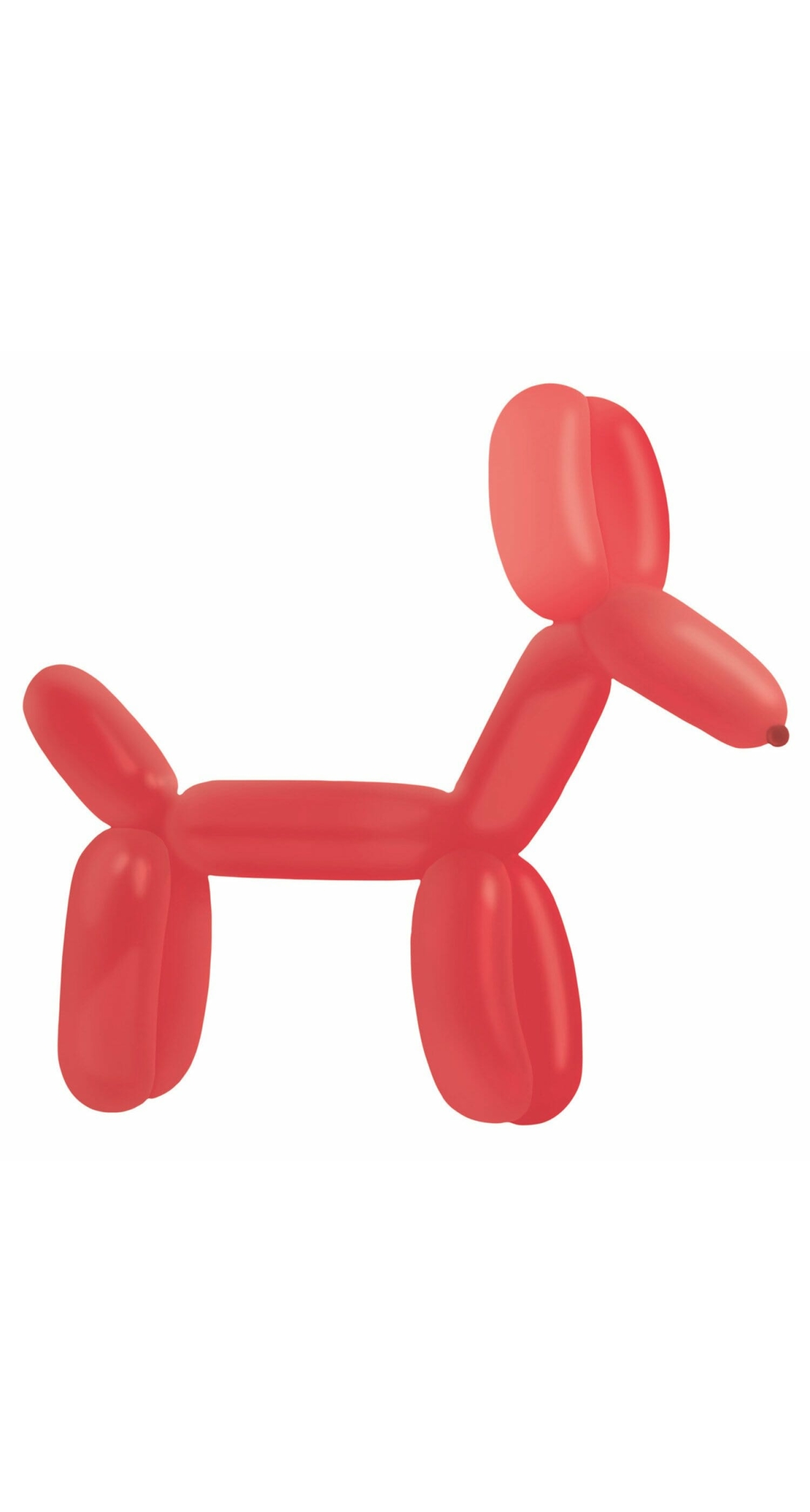 Everts Balloon Modelling Apple Red Standard E260 - 100pk