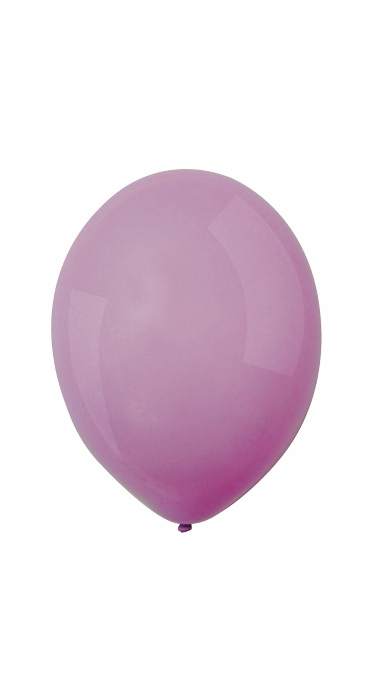 Latex Balloon Decorator Macaron Blueberry 13 cm / 5  Inches