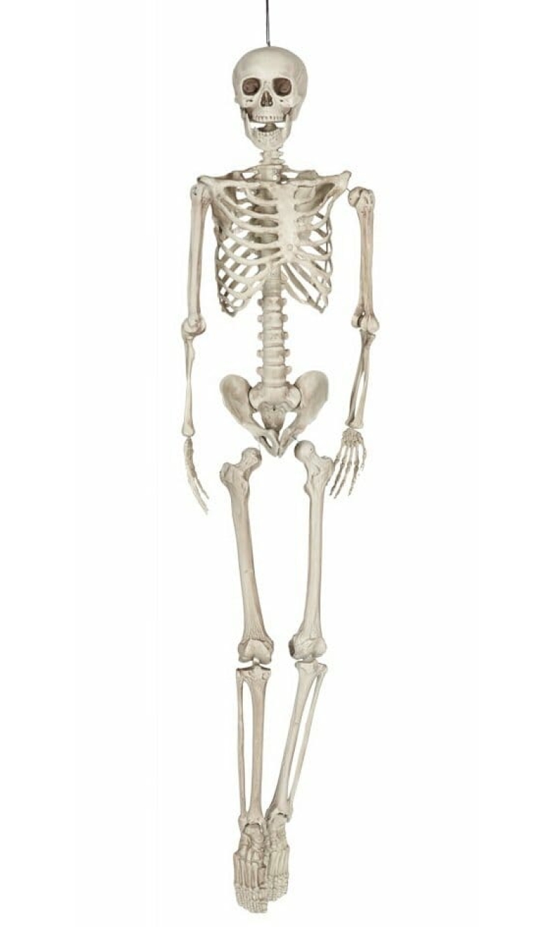 Hanging Skeleton (26044) - 160cm