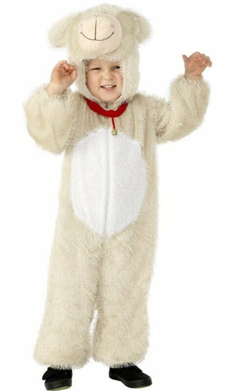 Lamb - Age 7 to 9 Years