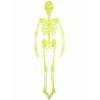 Neon Colours Hanging Skeleton Decoration with Light Up Eyes - 150cm