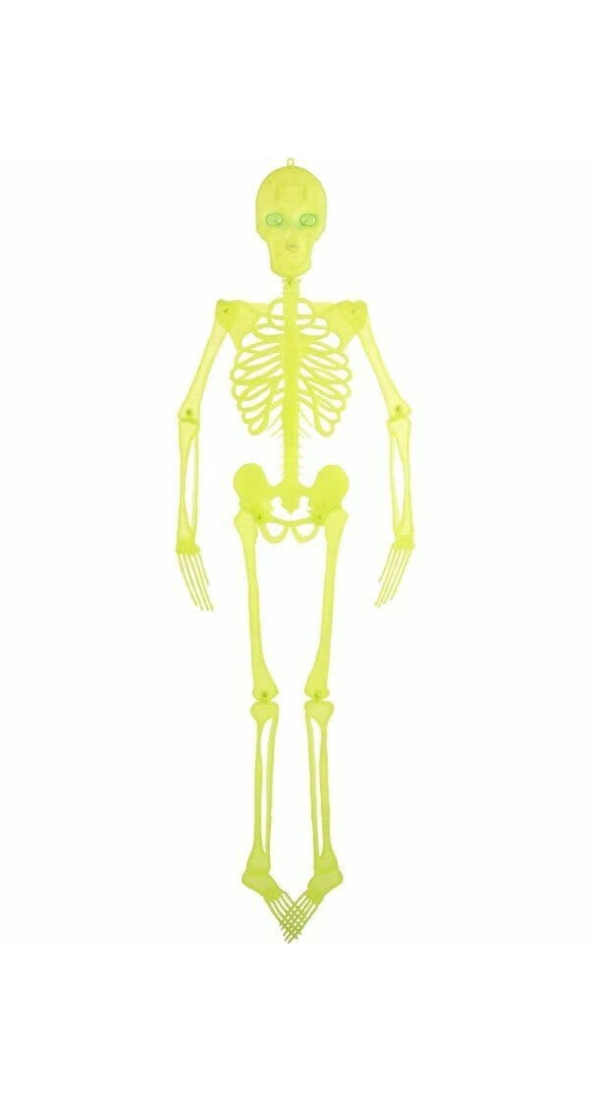 Neon Colours Hanging Skeleton Decoration with Light Up Eyes - 150cm