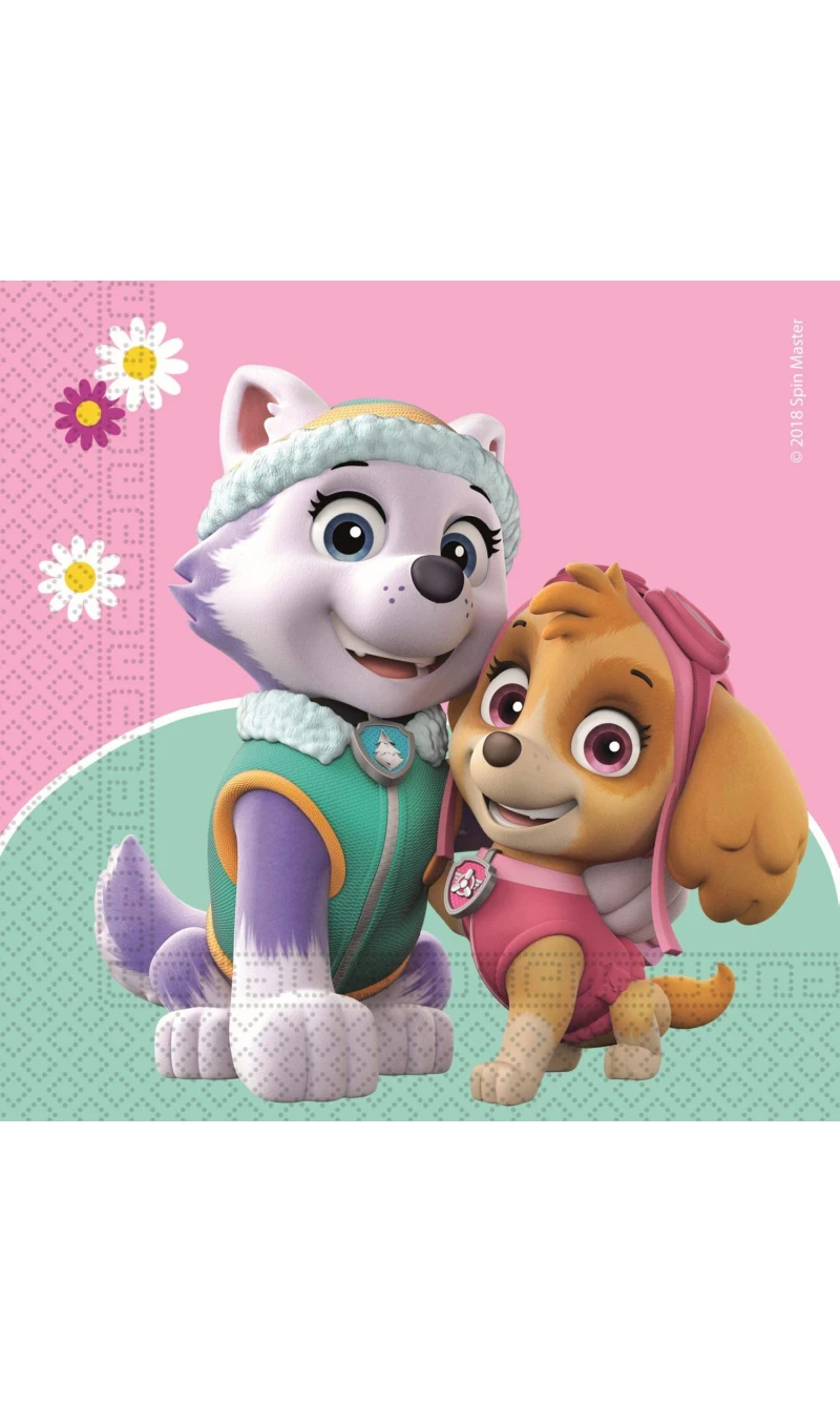 Paw Patrol - Skye & Everest Two-ply Paper Napkins 33x33cm - 20pk