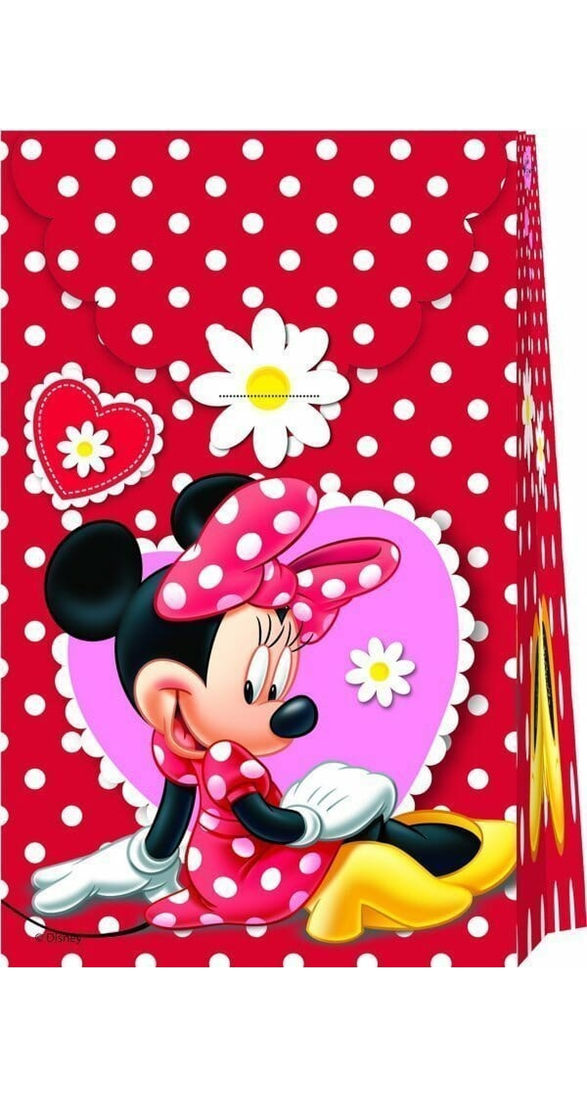 Disney Minnie Mouse Paper Bags  - 6pk