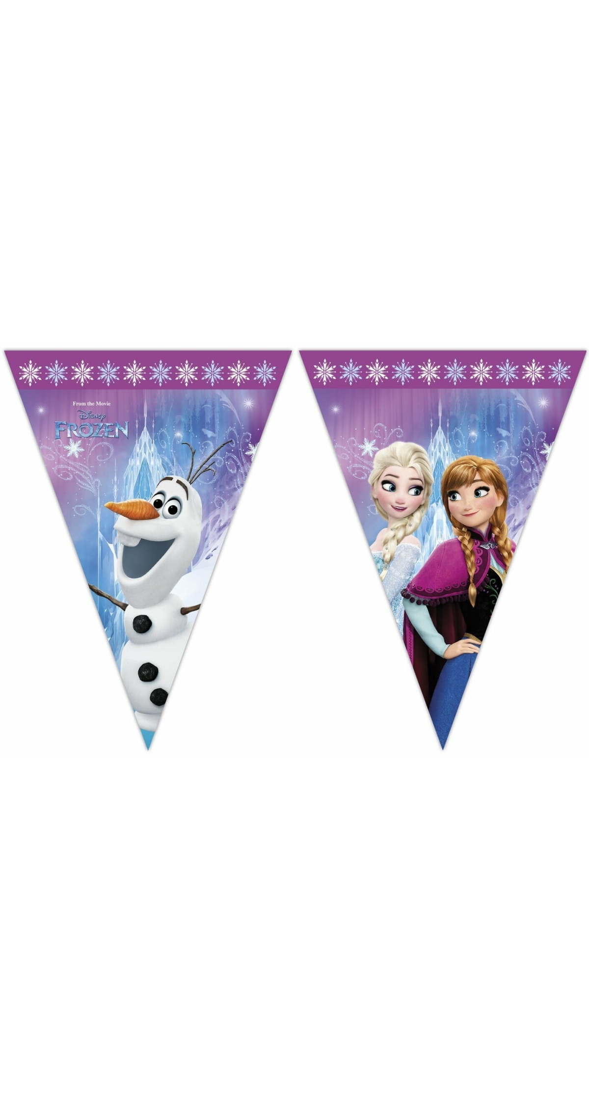 Disney Frozen Northern Lights Triangle Flag Banner (9 Flags)