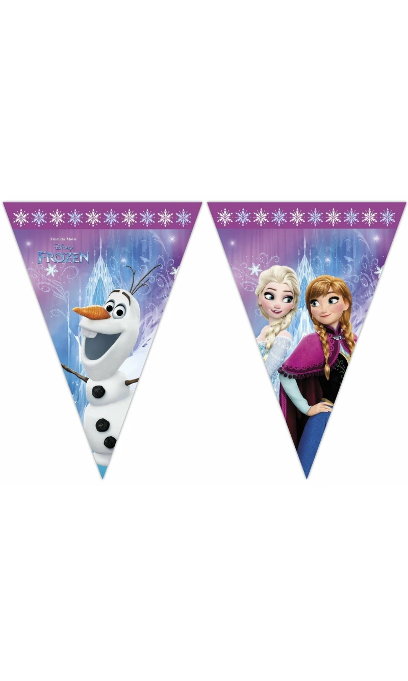 Disney Frozen Northern Lights Triangle Flag Banner (9 Flags)