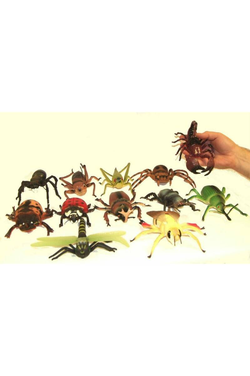 Assorted Creepy Crawlies