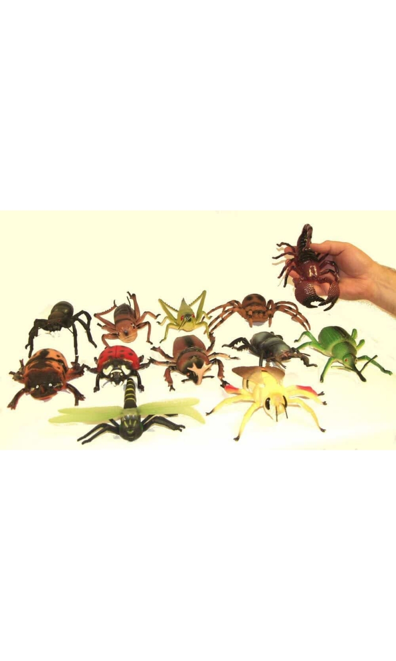 Assorted Creepy Crawlies
