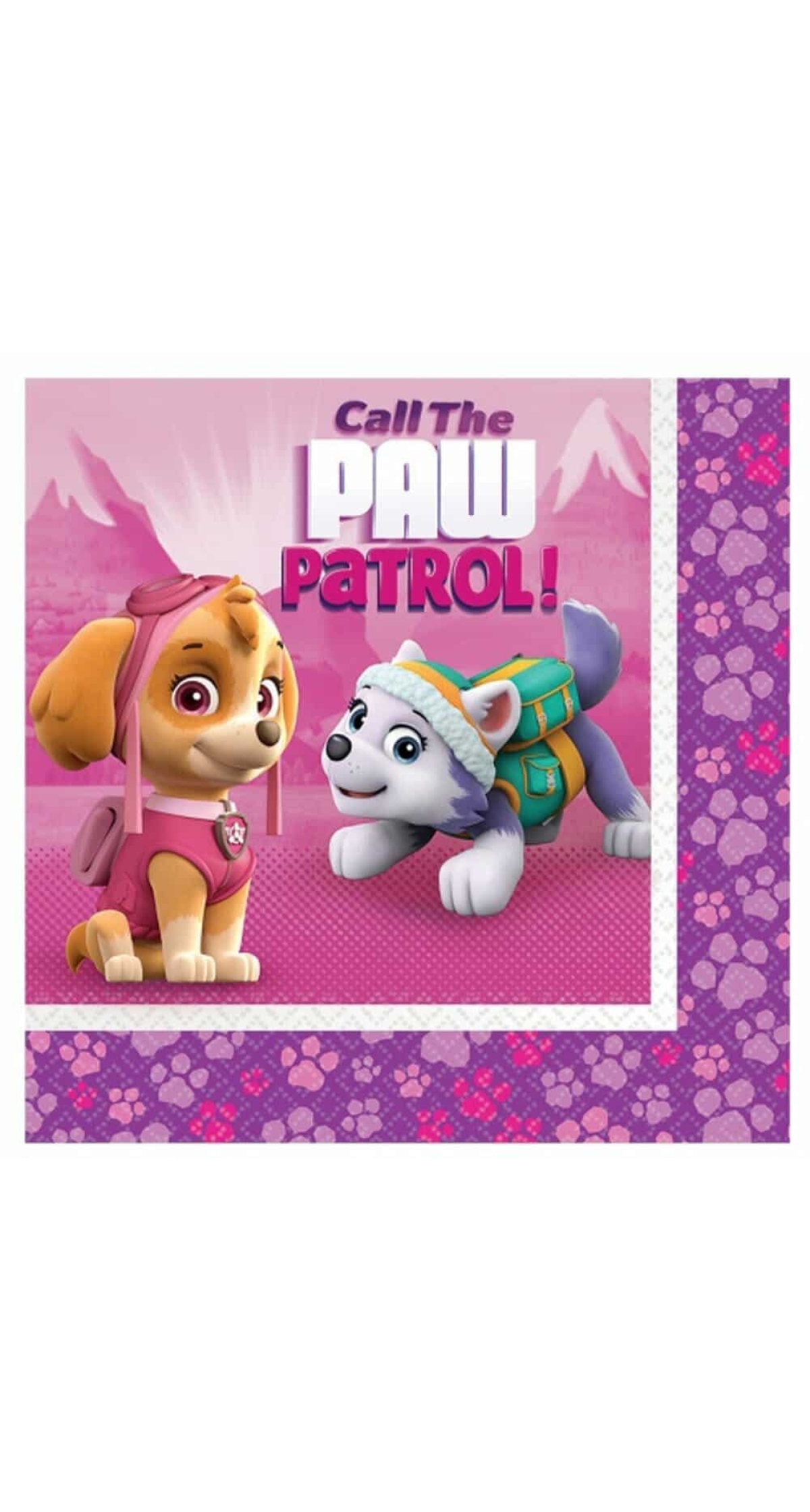 Paw Patrol Girl Napkins 33cmx33cm -20pk