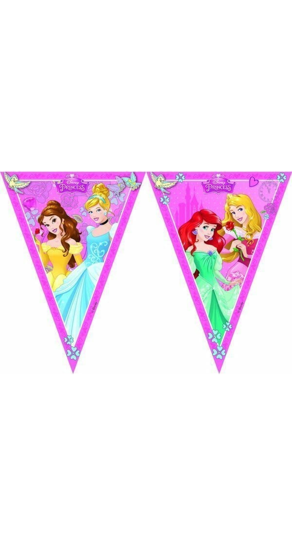 Princess Dreaming Triangle Flag Banner (9 flags)  - 1pk