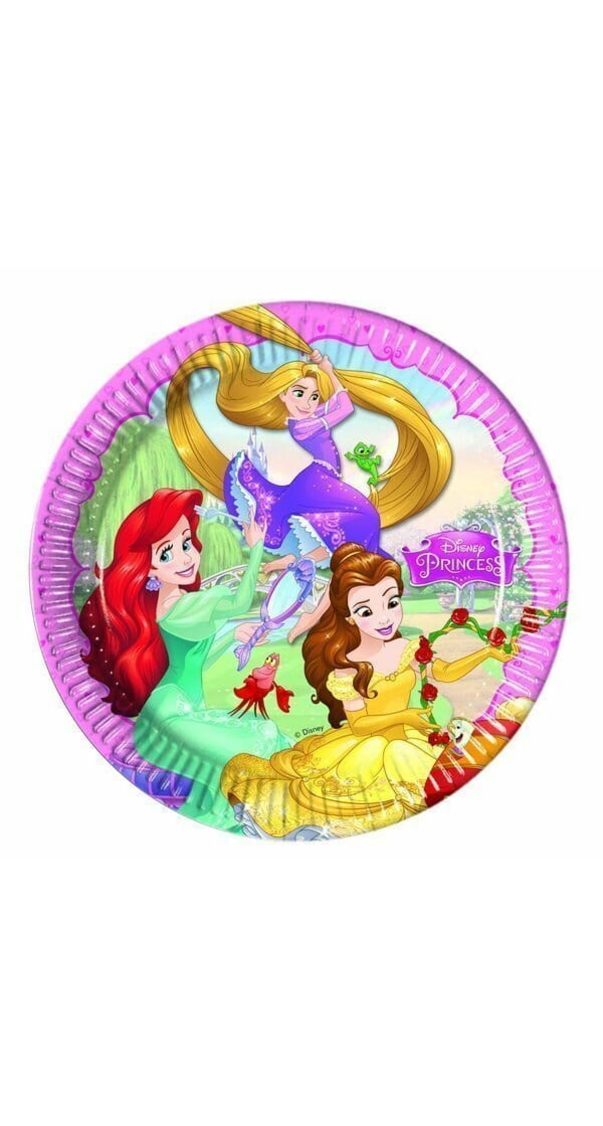 Princess Dreaming Paper Plates  Large 23cm  - 8pk