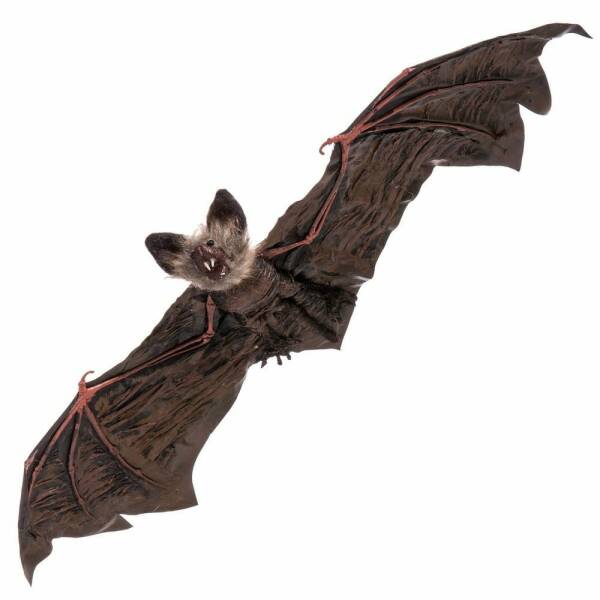 Hanging Bat - 65x24x6cm