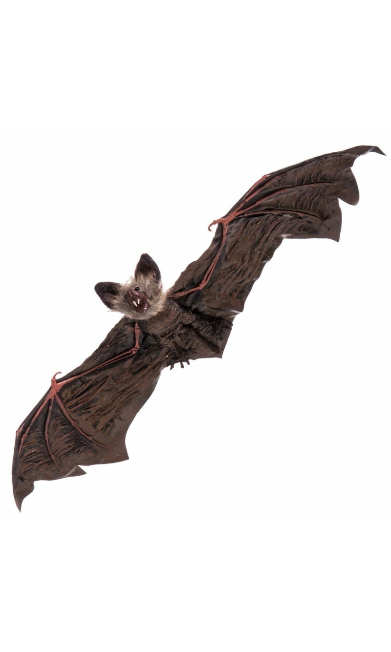 Hanging Bat - 65x24x6cm