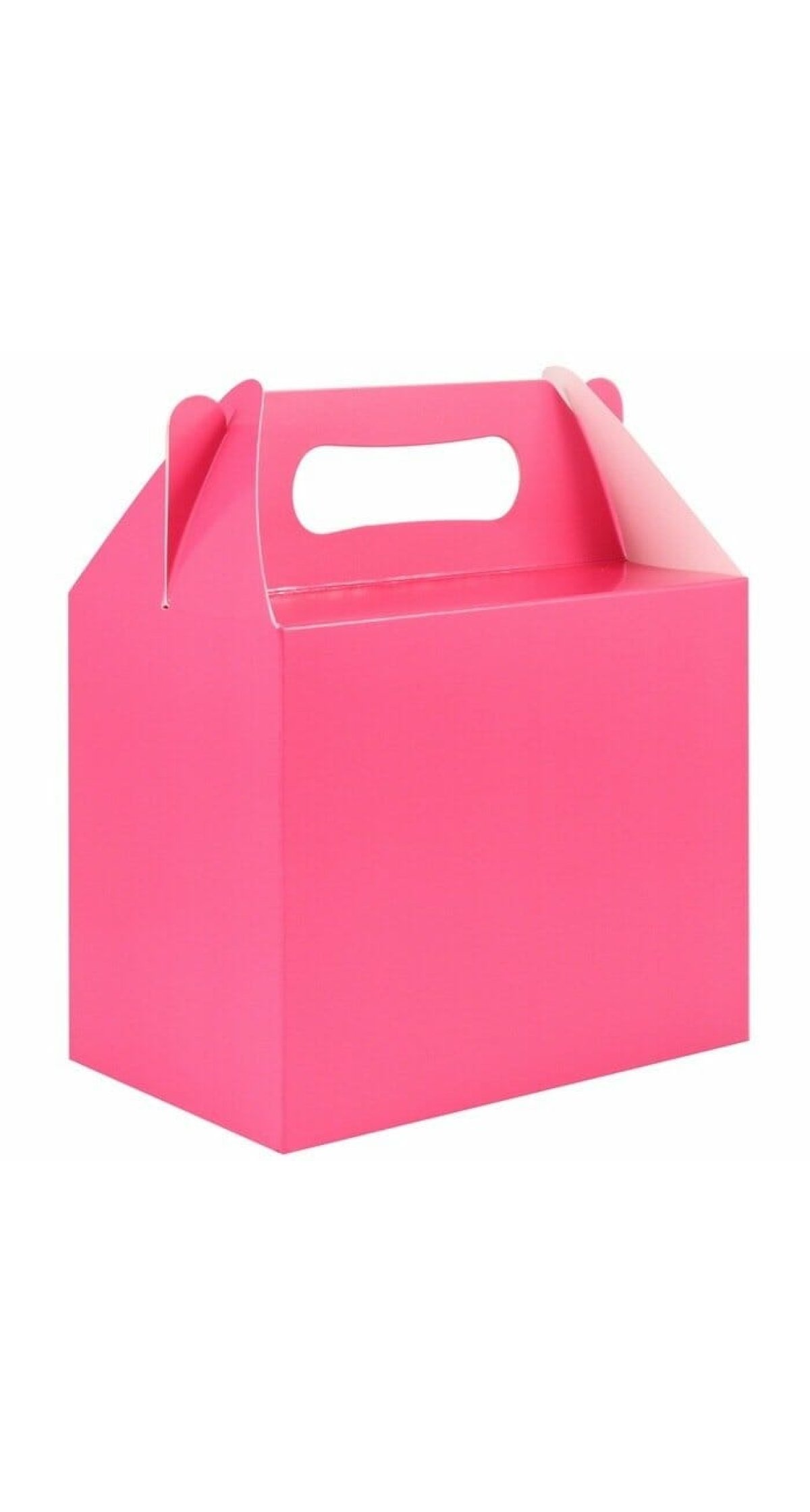 Party Favour /  Lunch Box - Hot Pink