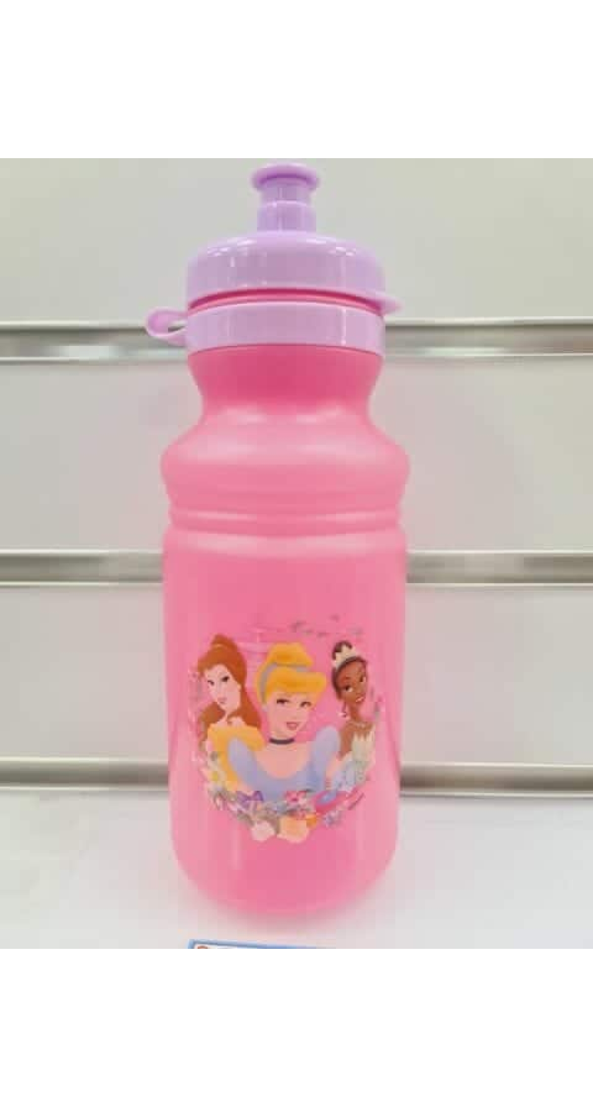 Princess Pull Top Plastic Bottle - 17oz