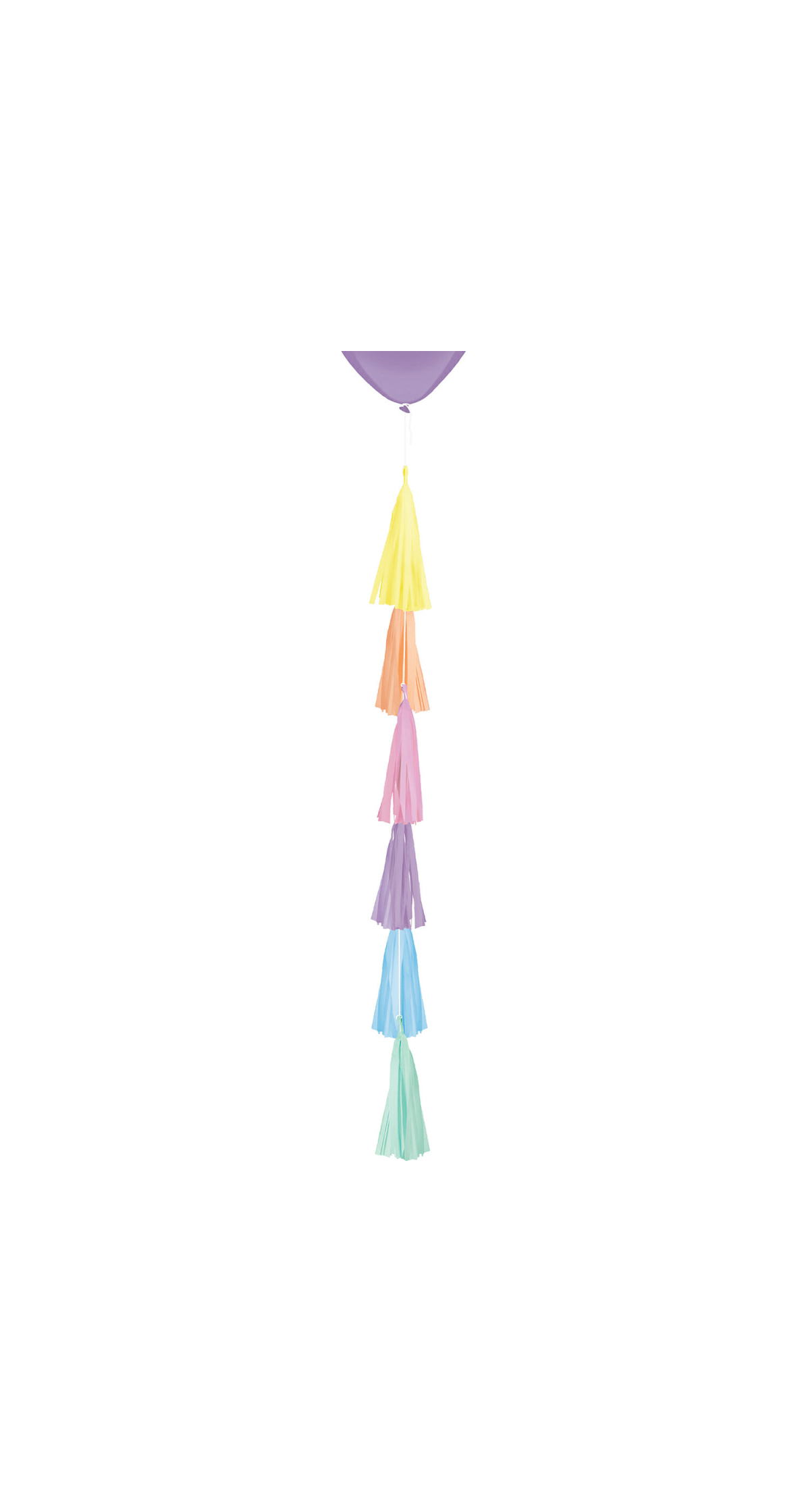 Balloon Tail Tassel Rainbow Paper Length 70cm