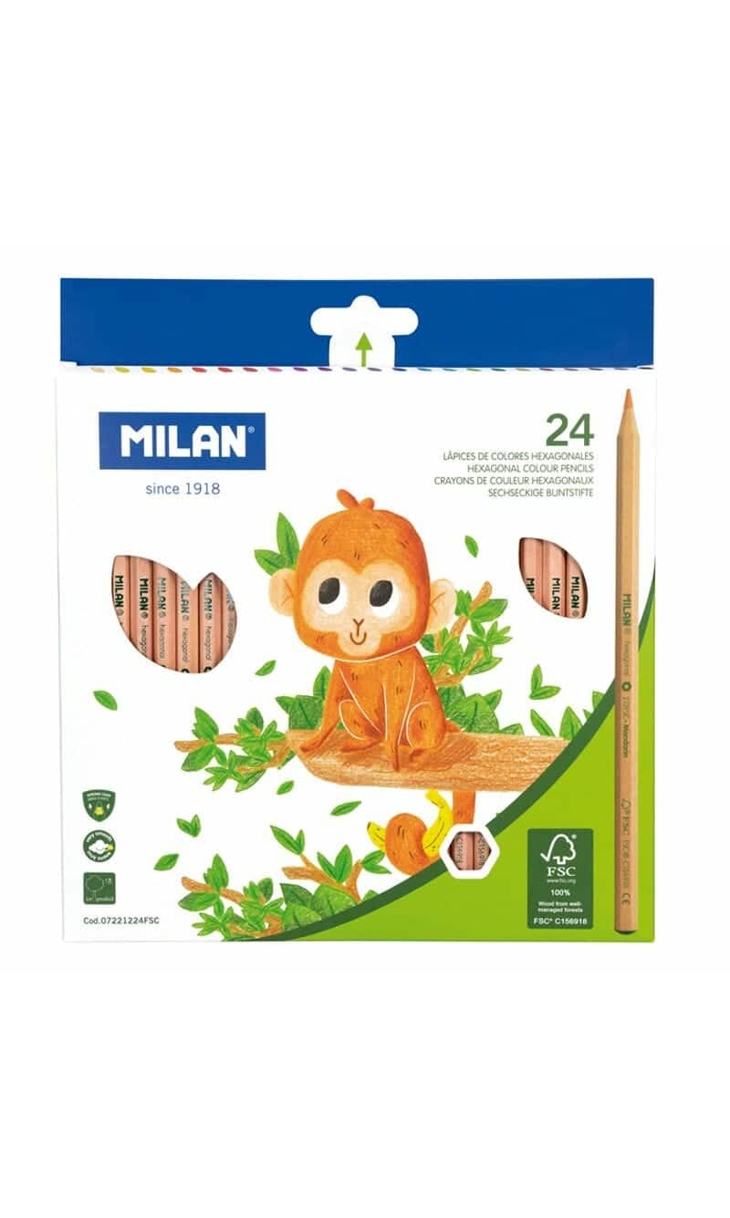 Hexagonal Colour Pencils - 24pk