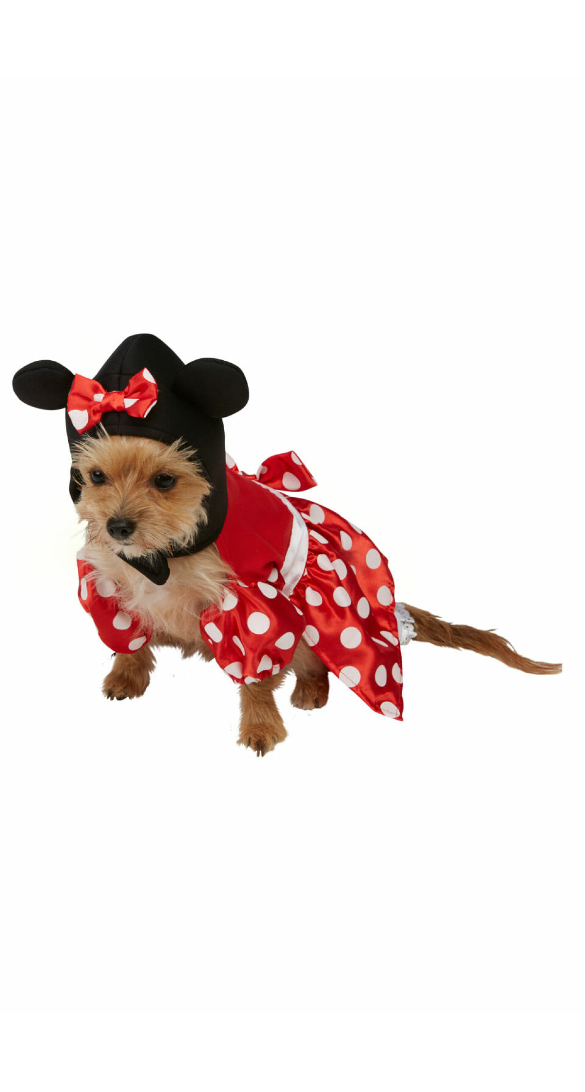 Disney Red Minnie Mouse Dog Costume - Dog Size Small