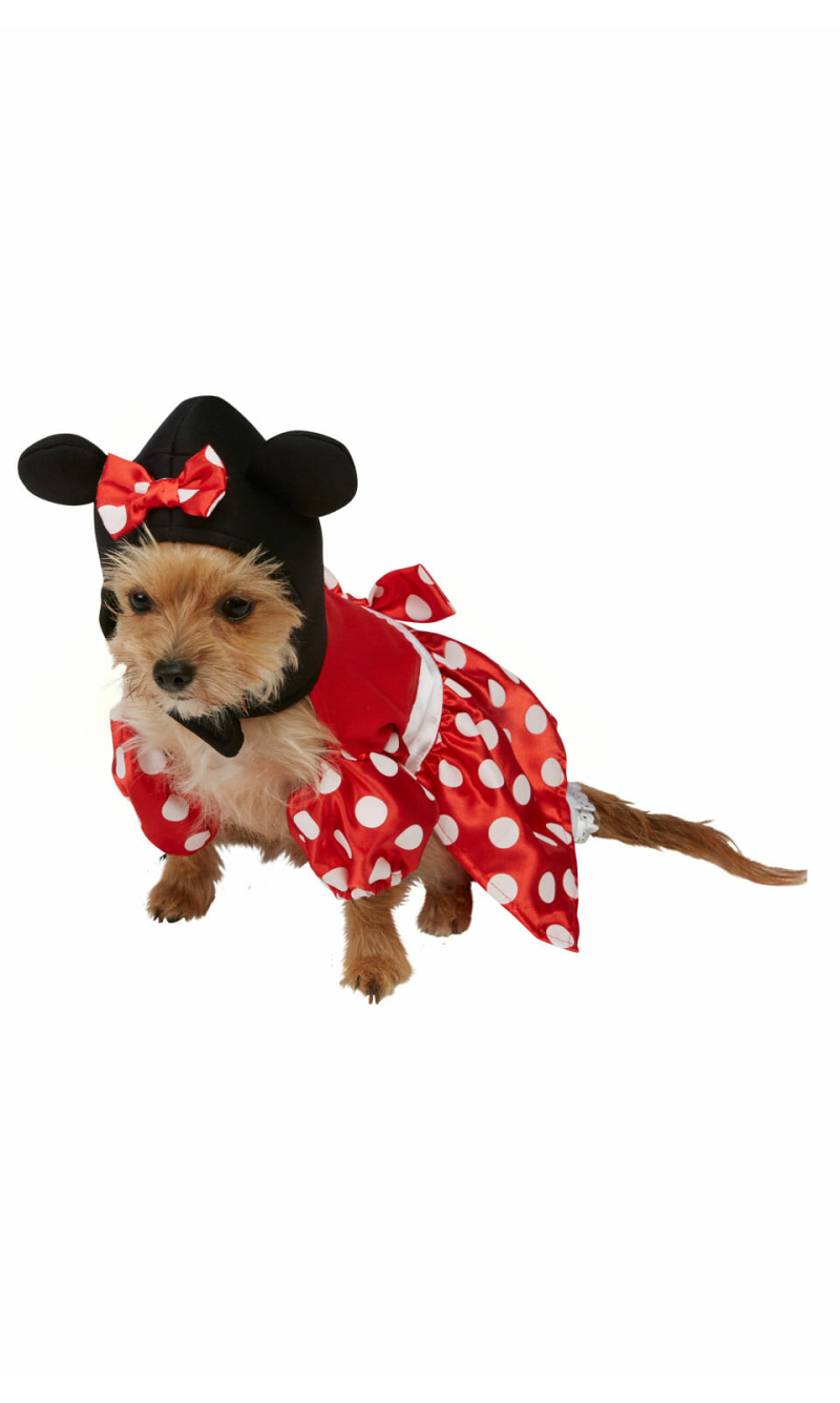 Disney Red Minnie Mouse Dog Costume - Dog Size Small