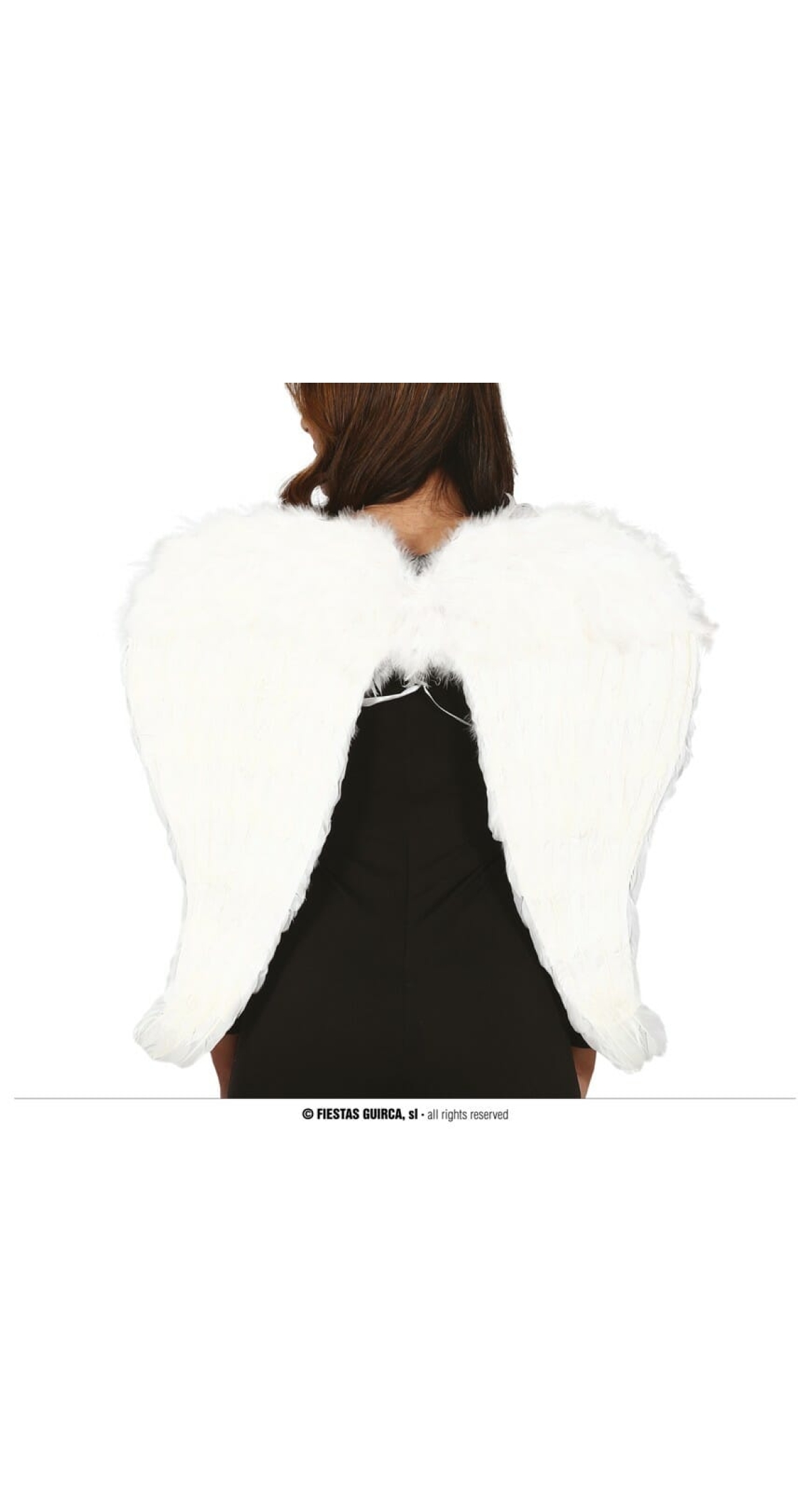 White Feather Wings - 80x60cm