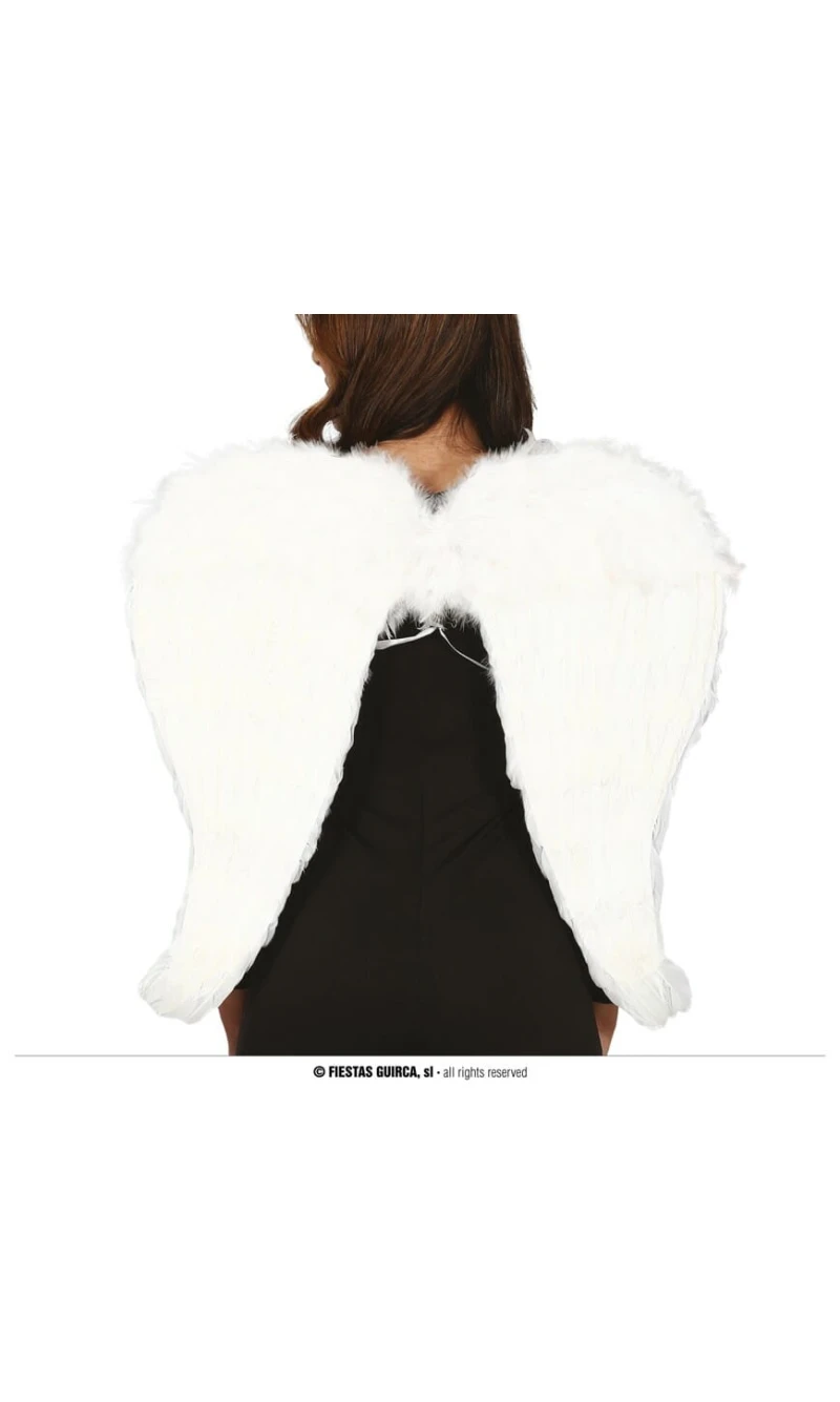 White Feather Wings - 80x60cm