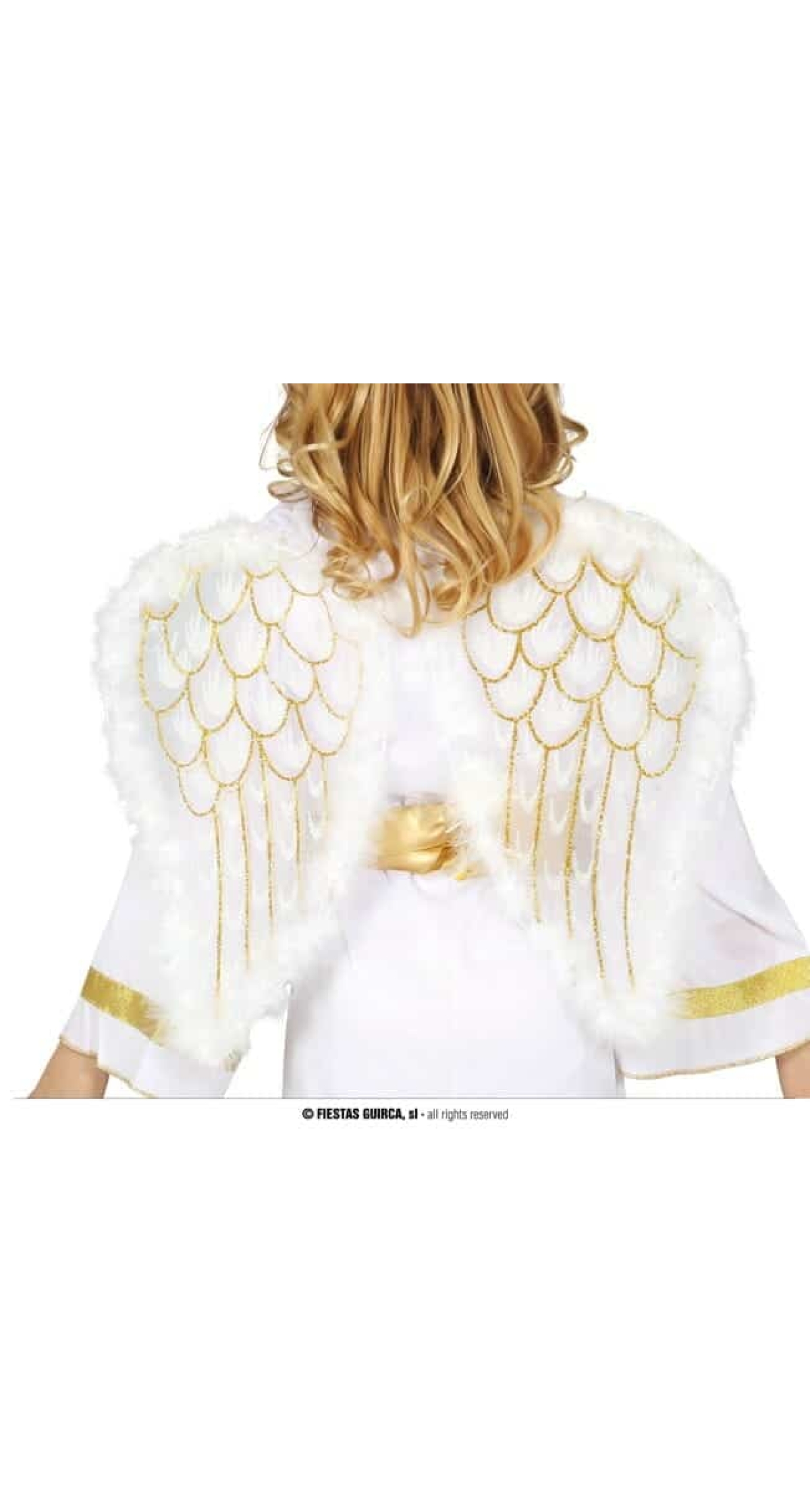 Angel Wings - 47x40cm