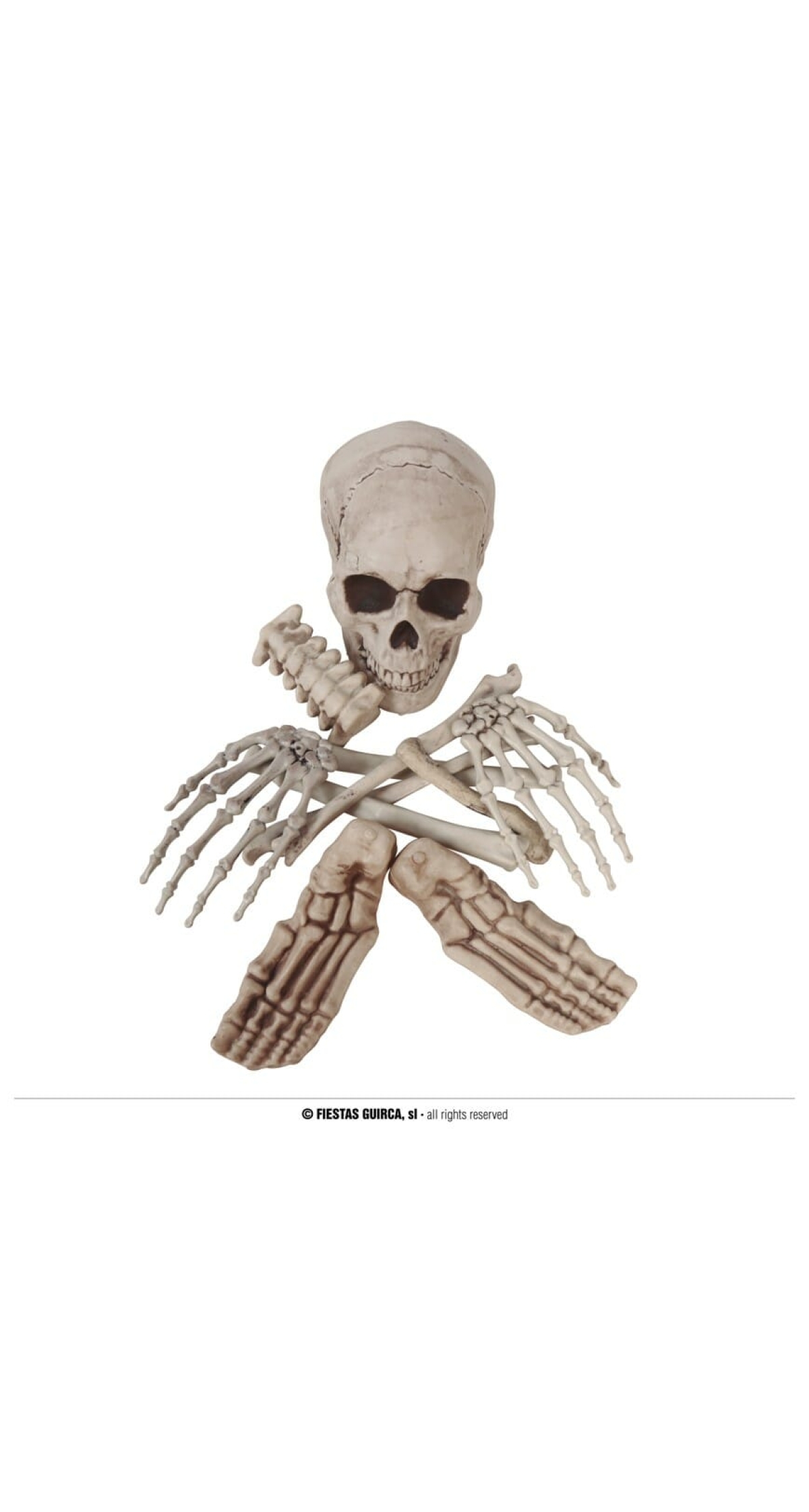 Bag of Halloween Bones - 12pk